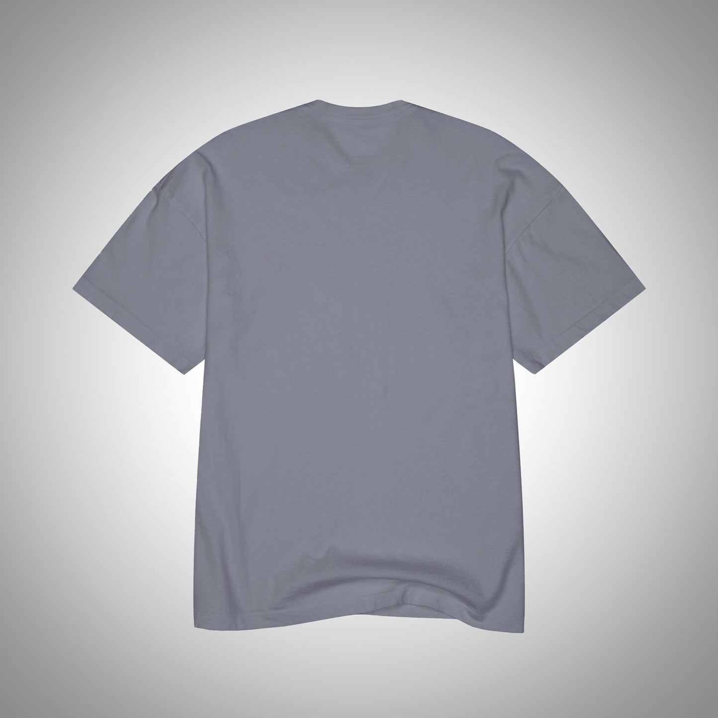PERFECT T-SHIRT
